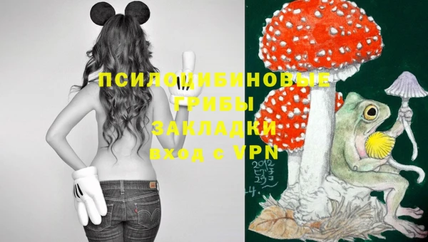 экстази Михайлов