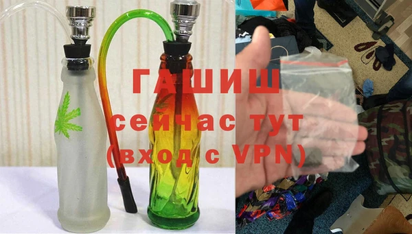 PSILOCYBIN Архангельск
