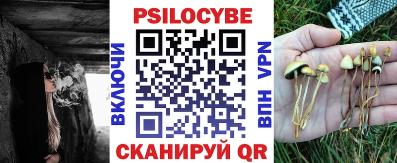 купить наркоту  Балашиха  Псилоцибиновые грибы прущие грибы 