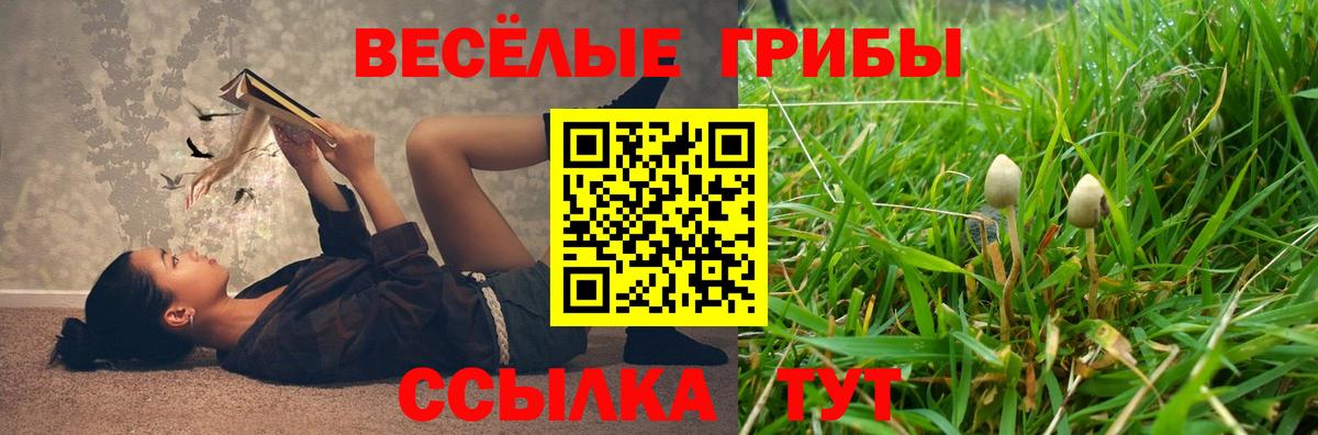 Псилоцибиновые грибы Magic Shrooms  Балашиха  Псилоцибиновые грибы Psilocybe 
