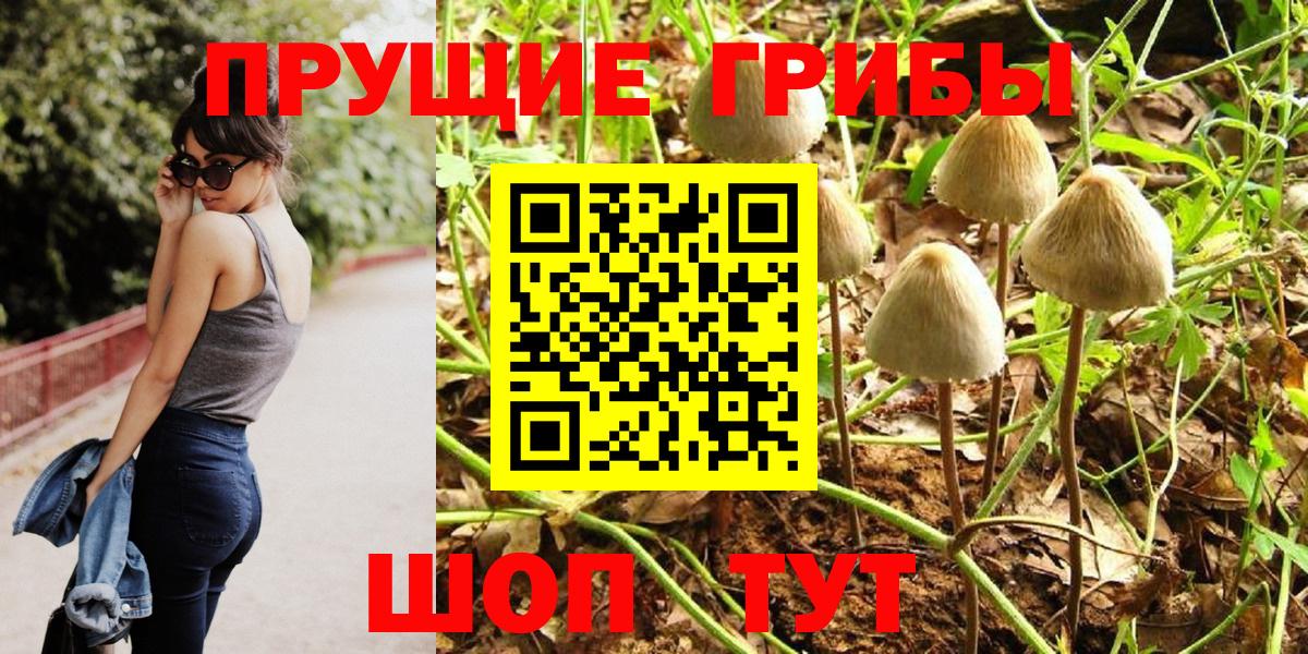 Галлюциногенные грибы Cubensis Балашиха