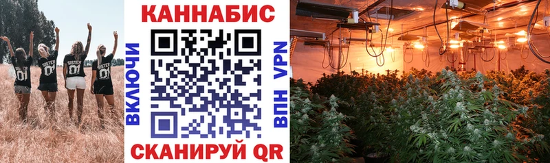 Бошки марихуана тримм  Балашиха 